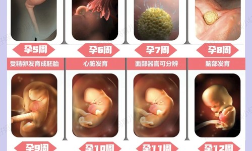 结核病感染有什么症状网 - 为你提供结核病感染有什么症状表现、结核病有什么症状表现